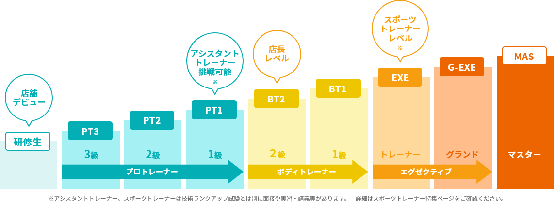 ランクアップ制度